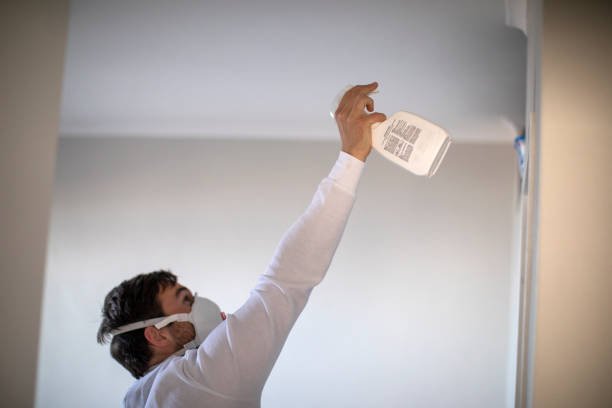 Best Attic Mold Removal  in Los Altos, CA