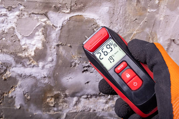 Best Local Mold Removal Service  in Los Altos, CA