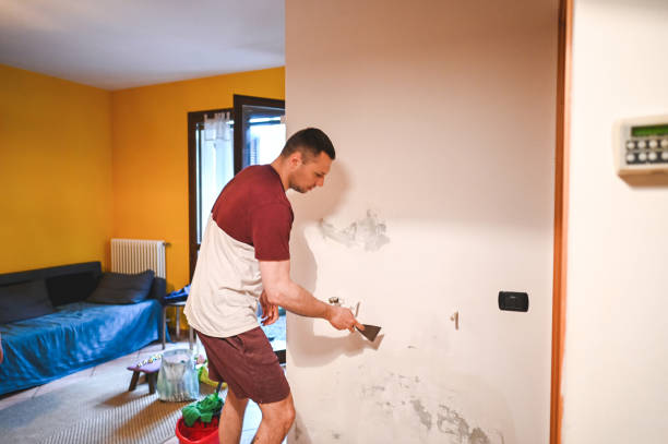 Best Same-Day Mold Removal  in Los Altos, CA